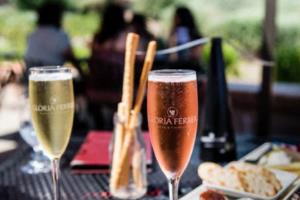 德甲联赛，激情与实力的完美结合德甲联赛德甲