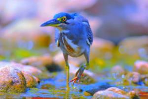 德甲冠军的传承与挑战，上届冠军的遗产与 next step上一届德甲联赛冠军